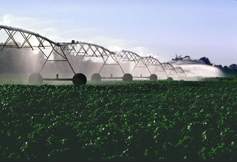 A Fazenda Circular