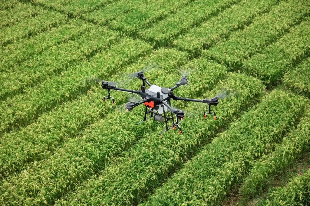 O papel dos drones na agricultura