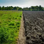 Agricultura Regenerativa vs Agricultura Orgânica: Qual é a Diferença?