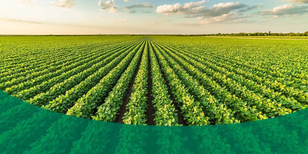 Modelos de Agricultura Zero Desperdício: Do Conceito à Prática