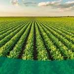 Modelos de Agricultura Zero Desperdício: Do Conceito à Prática