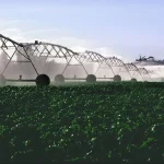 A Fazenda Circular: Transformando Resíduos Agrícolas em Lucro